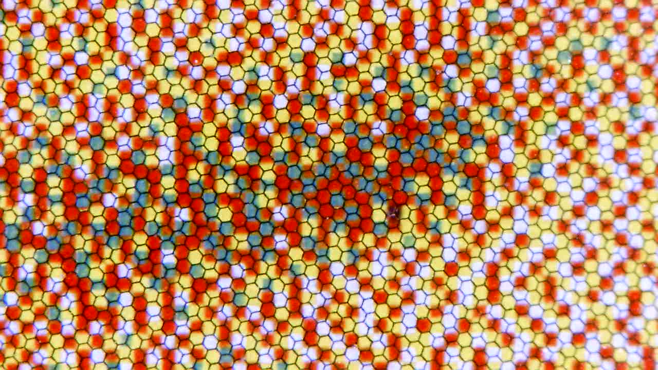 Mona Lisa pixel view